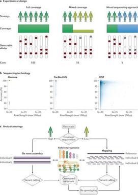 long-read-sequencing-for-population-scale-genomic-