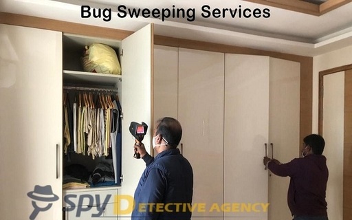 Bug Sweeping Services in Delhi.jpg